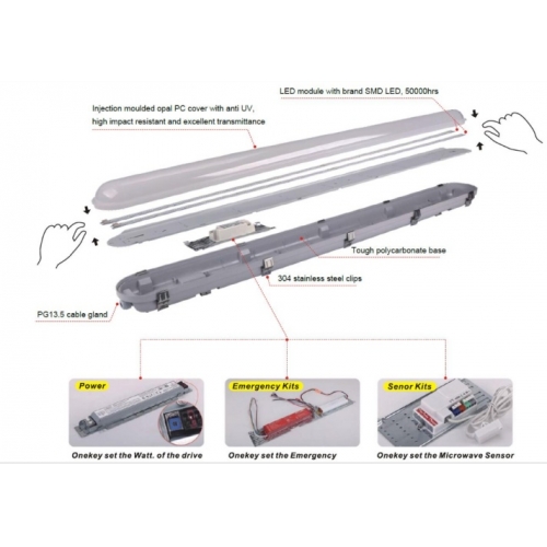 V Series PC LED Vapor Tight Light 